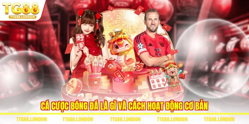 Cá cược bóng đá là gì và cách hoạt động cơ bản