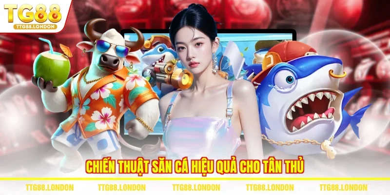 Chiến thuật săn cá hiệu quả cho tân thủ