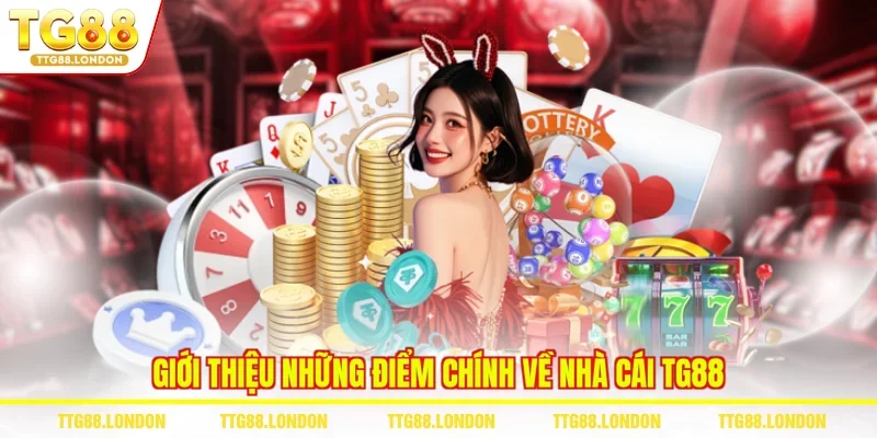 Giới thiệu những điểm chính về nhà cái TG88