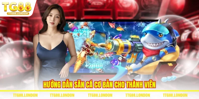 Hướng dẫn săn cá cơ bản cho thành viên